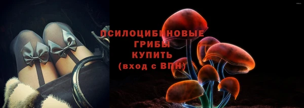 jwh Бородино